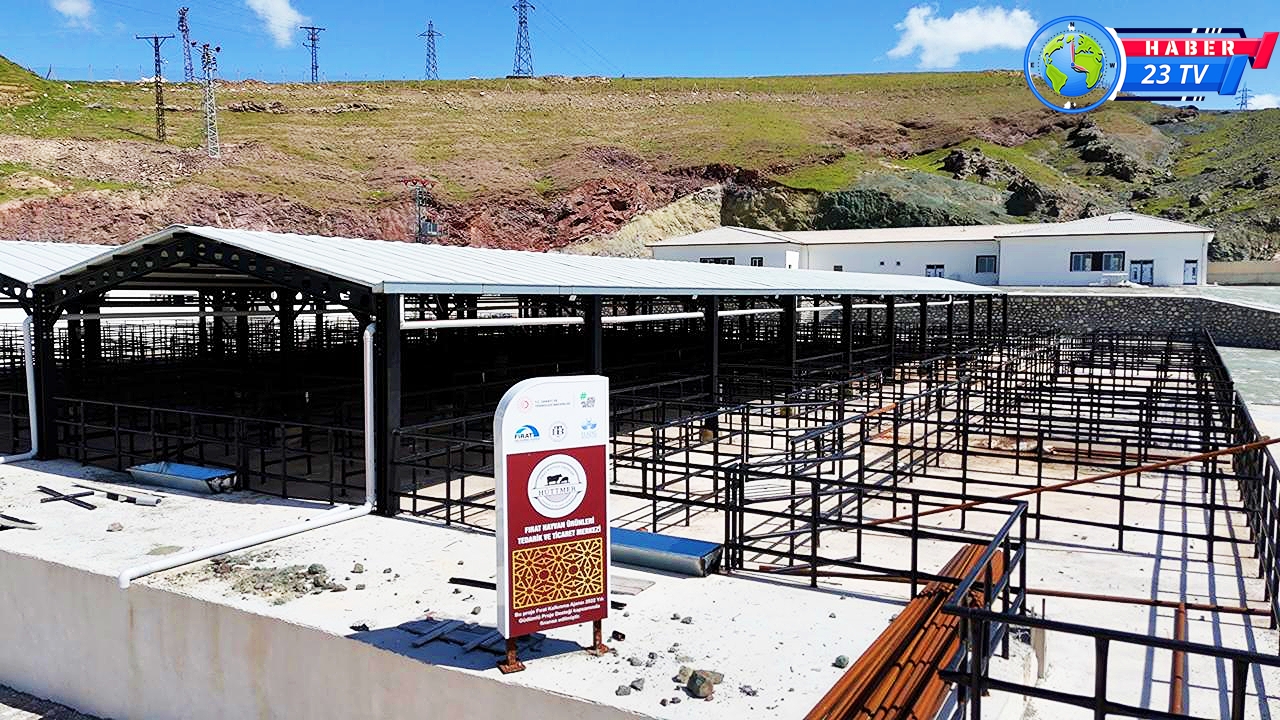 Kurban Bayramı Hazırlıkları Tamamlandı: Satış ve Kesim İçin Tek Nokta Belirlendi