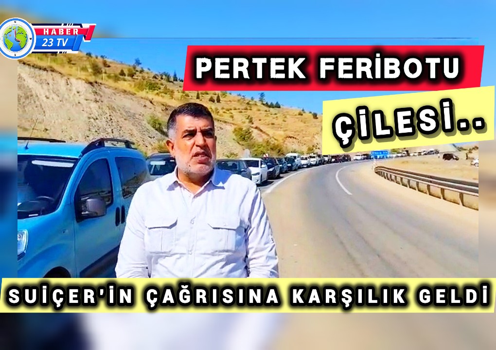 Başkan Suiçer’in Pertek Köprüsü Çağrısına Karşılık Geldi